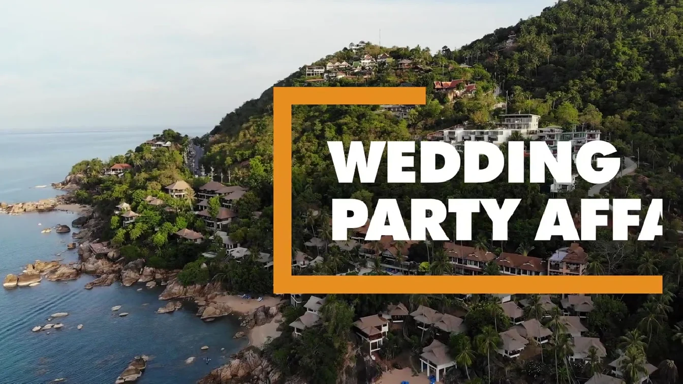 MorePOV Dana Dearmond And Cecilia Lion Wedding Party Affair XXX